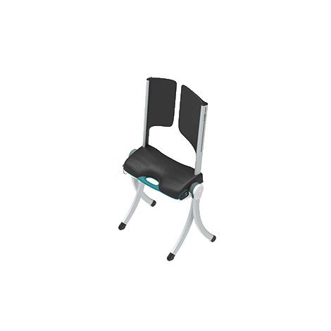 Raizer II Lifting Chair