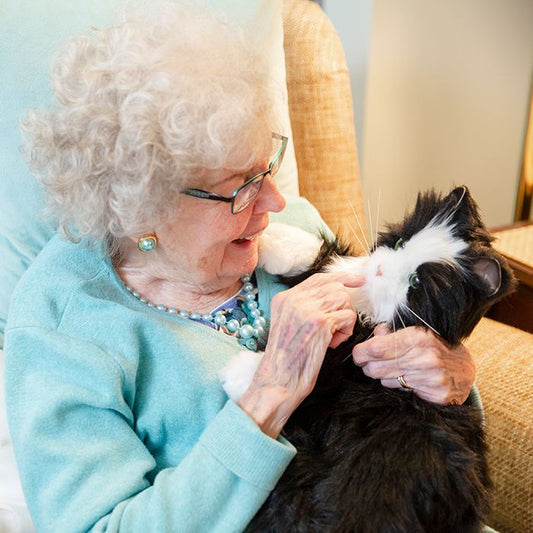 Interactive Companion Pet Tuxedo Cat